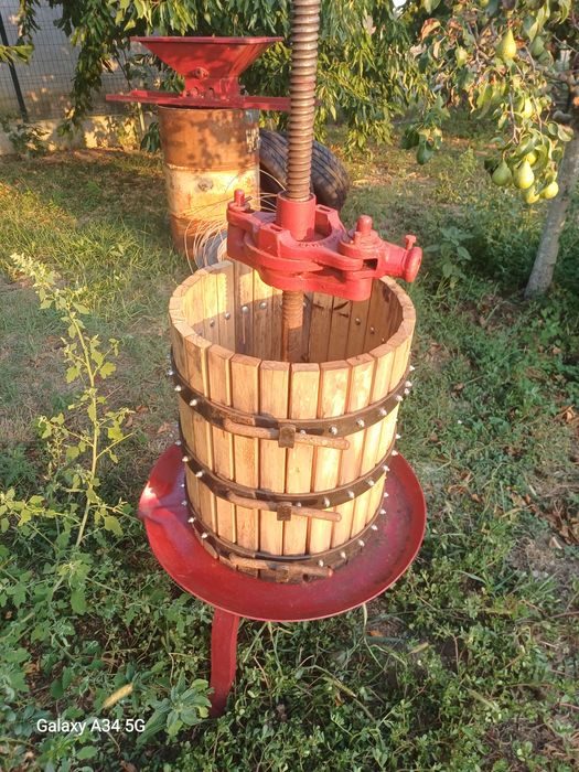 Vând struguri pentru vin, Merlot și Cabernet în Leorden