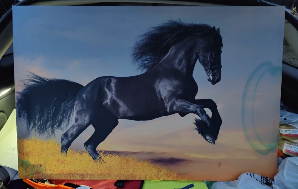 Светеща картина с LED осветление - черен кон