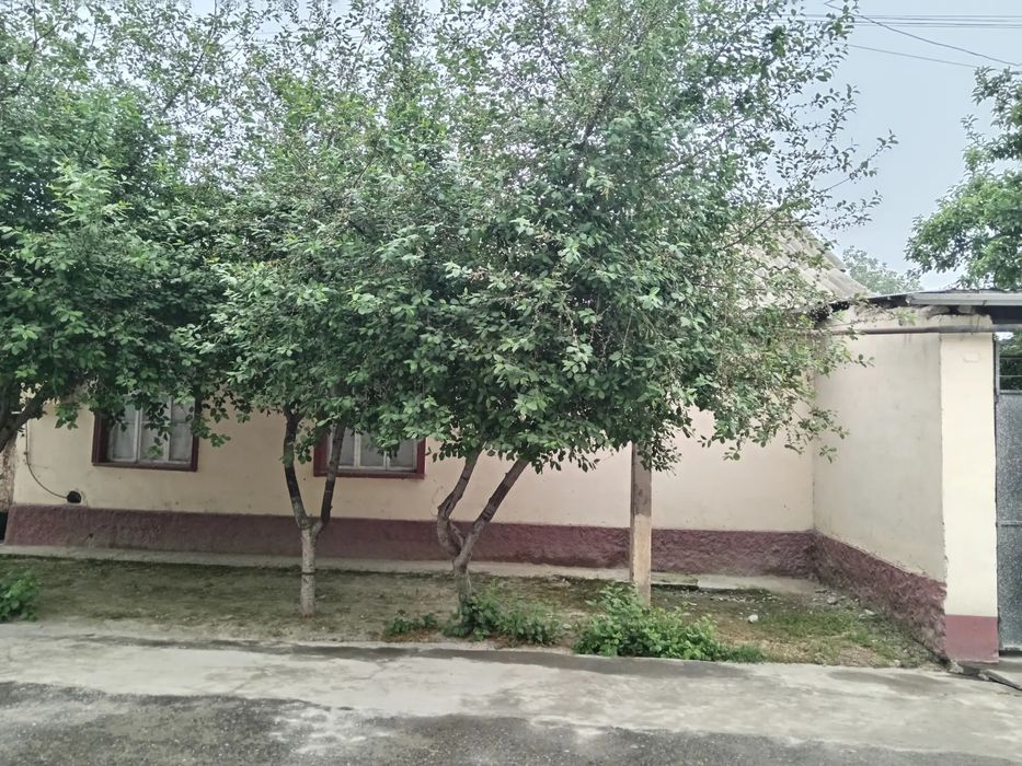 sirochni sotiladi, yashash uchun qulay joy