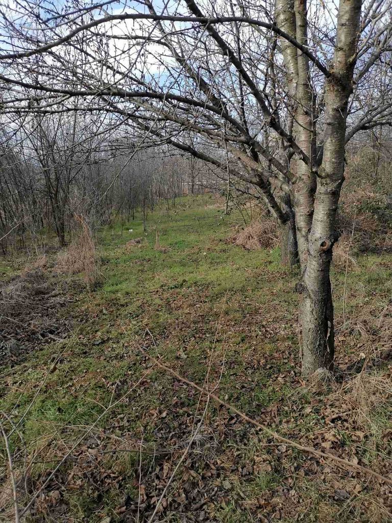 Продава се Парцел в с. Мало Конаре, Област Пазарджик - 783 кв.м за 18 €/кв.м - Снимка #1