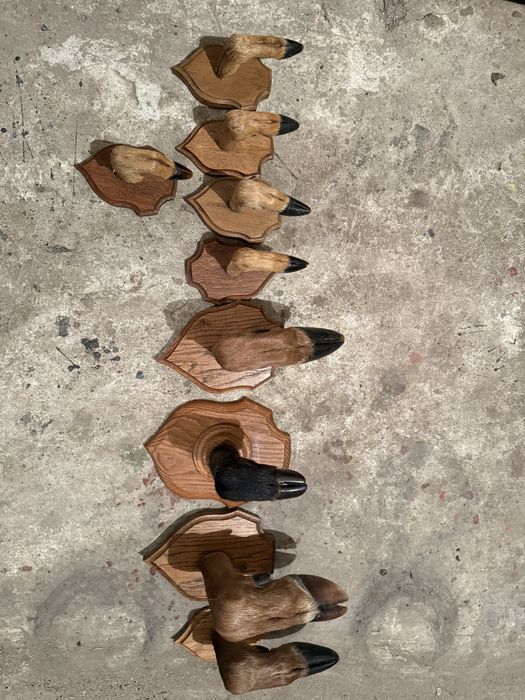 Продавам закачалки от крачета