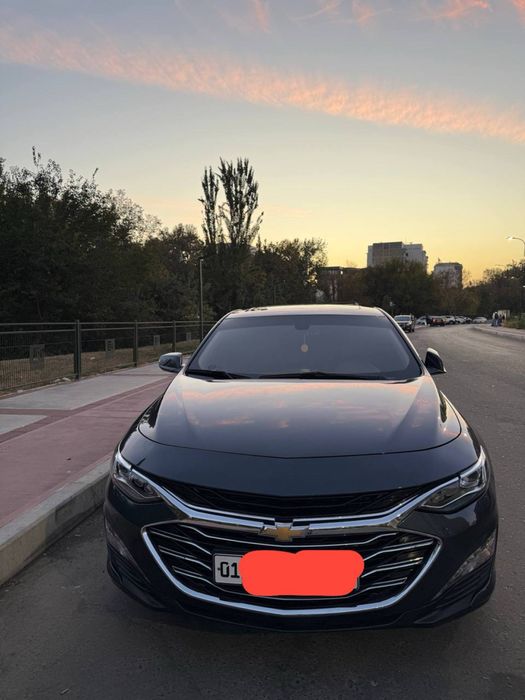 Malibu 2 premer 2022