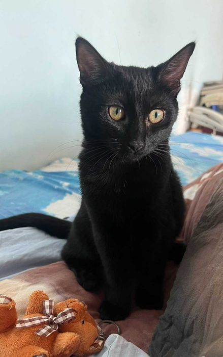 Енрике Иглесиас - Рики търси своя дом