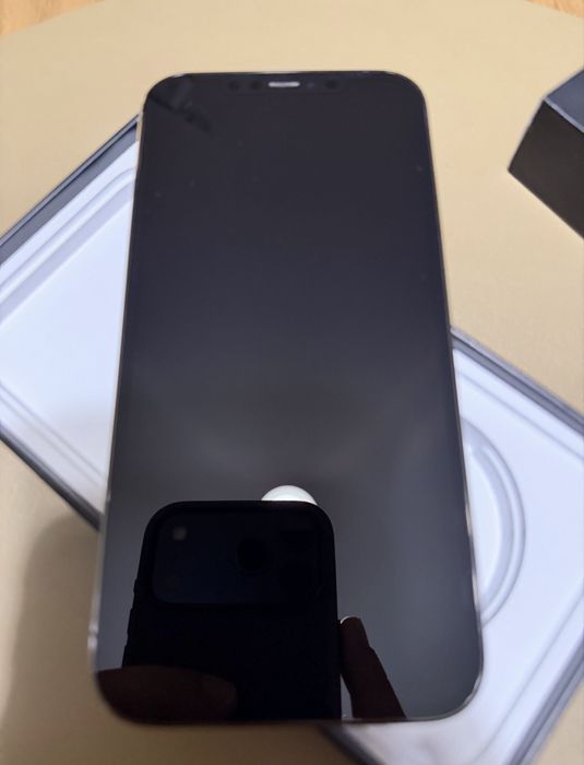 Iphone 12 Pro Max 256 gb