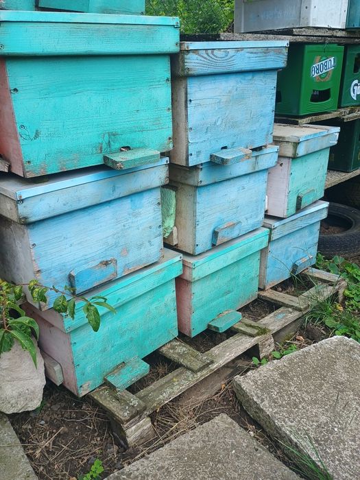 20 nuclee de împerechere