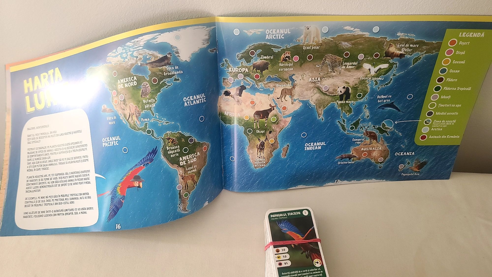 Album si set complet Expeditie in jurul lumii 1 Mega I