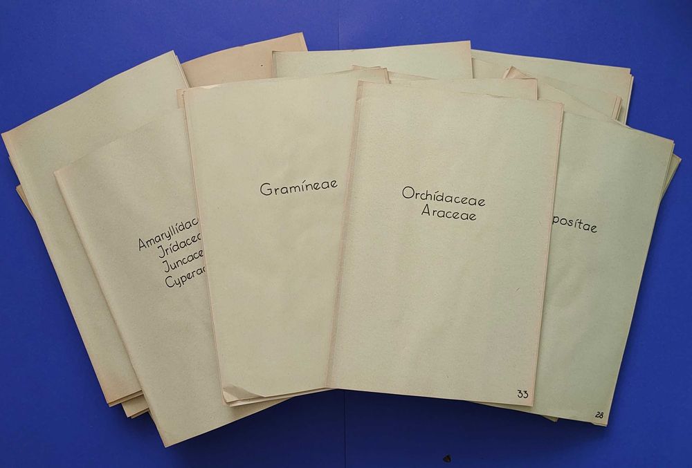 Herbarium Anii` 50 -60