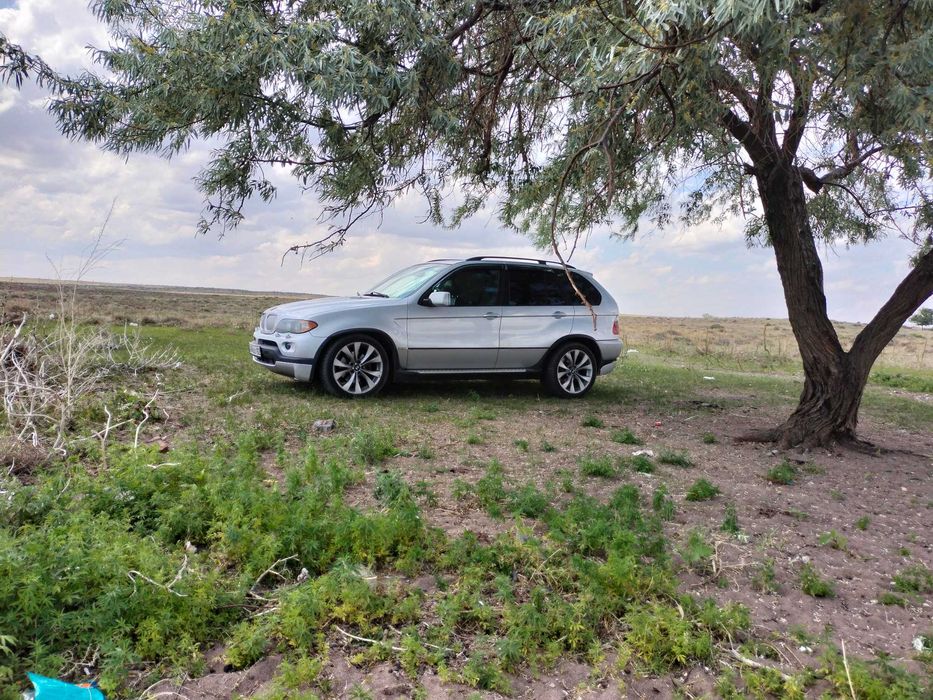 bmw x5 e53/////////////////////////////////