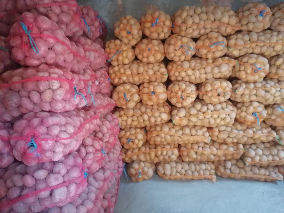 Vand cartofi alb si rosu