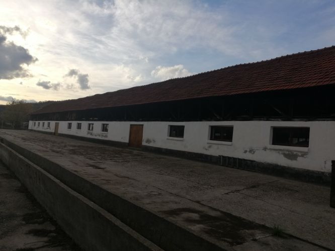 Ferma,spatii, hale de închiriat de vânzare