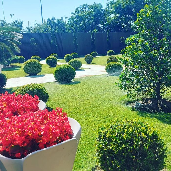 Amenajari gradini Irigatii Gazon