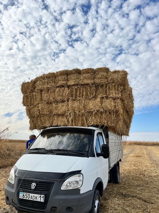 Сабан прес бар Кызылорда көп алса