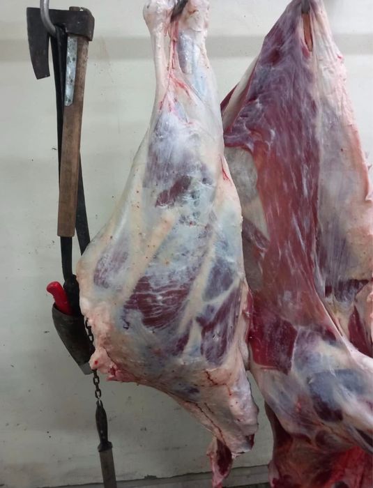 Прясна телешко месо