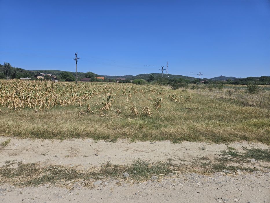 Teren intravilan Budesti(poligon)