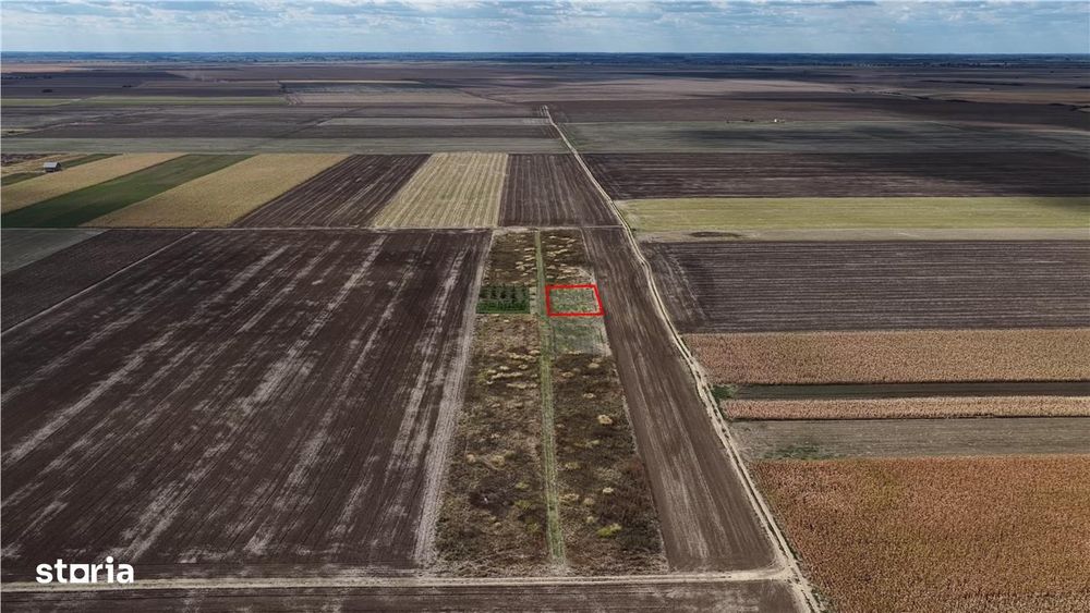 Teren 500mp in Livada de Bihor