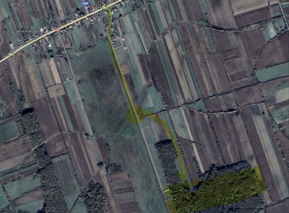 Padure langa Satu Mare 24 arii Ciuperceni