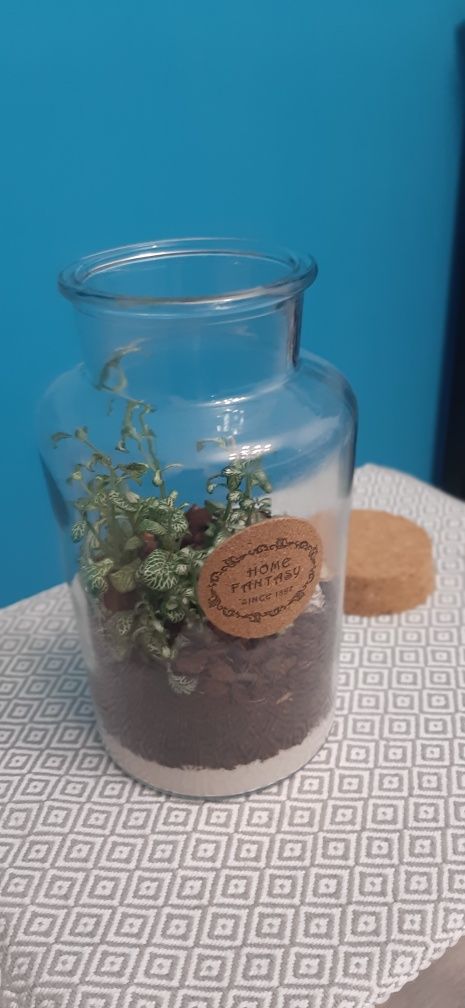 Terariu în bol de sticlă cu plante naturale