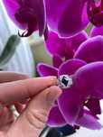 Inel  vintage Art Deco cu safir si diamante old cut, aur 18K