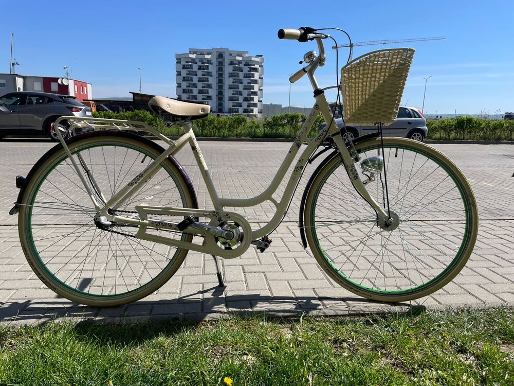 Bicicleta Cygnus pic-nic