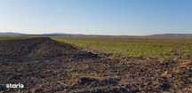 Teren intravilan cu PUZ in suprafata de 25 ha, la nord de Arad