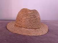 Palarie de vara, stil fedora