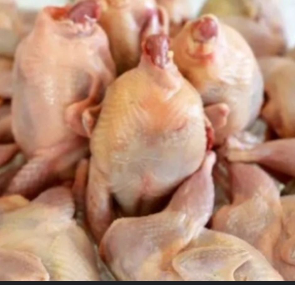 Продам мясо домашних перепелов