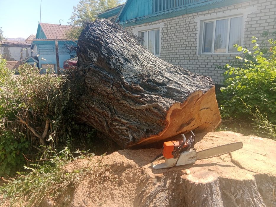 Пилим валим деревья