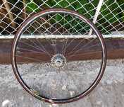 Jantă spate Campagnolo omega 19+husă