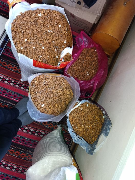 Bodom magʻzi sotiladi!