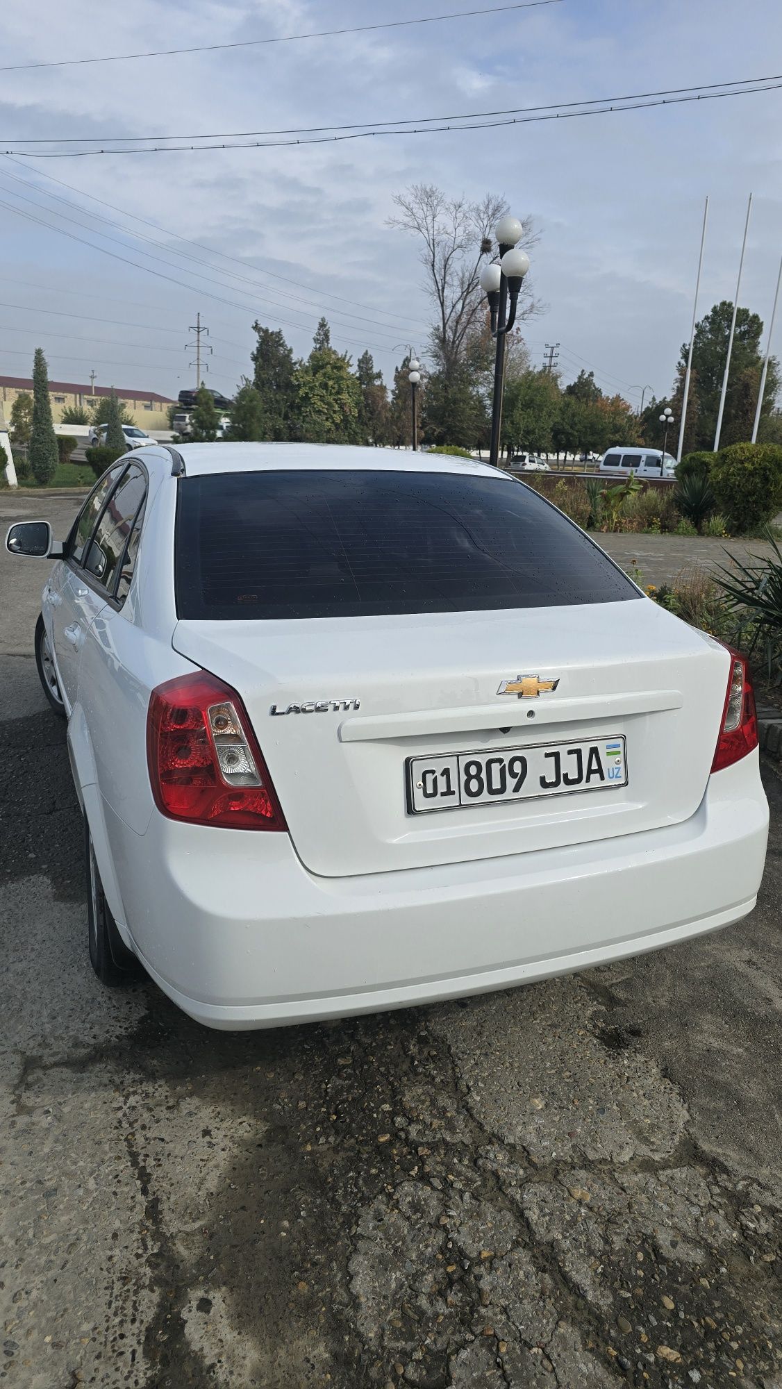 Djentra avtomat elegant plus