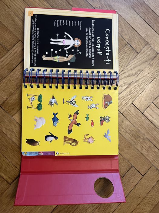 Carte pentru copii curioși - Seria De Ce?