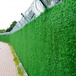 Декоративна ограда мрежа жив плет