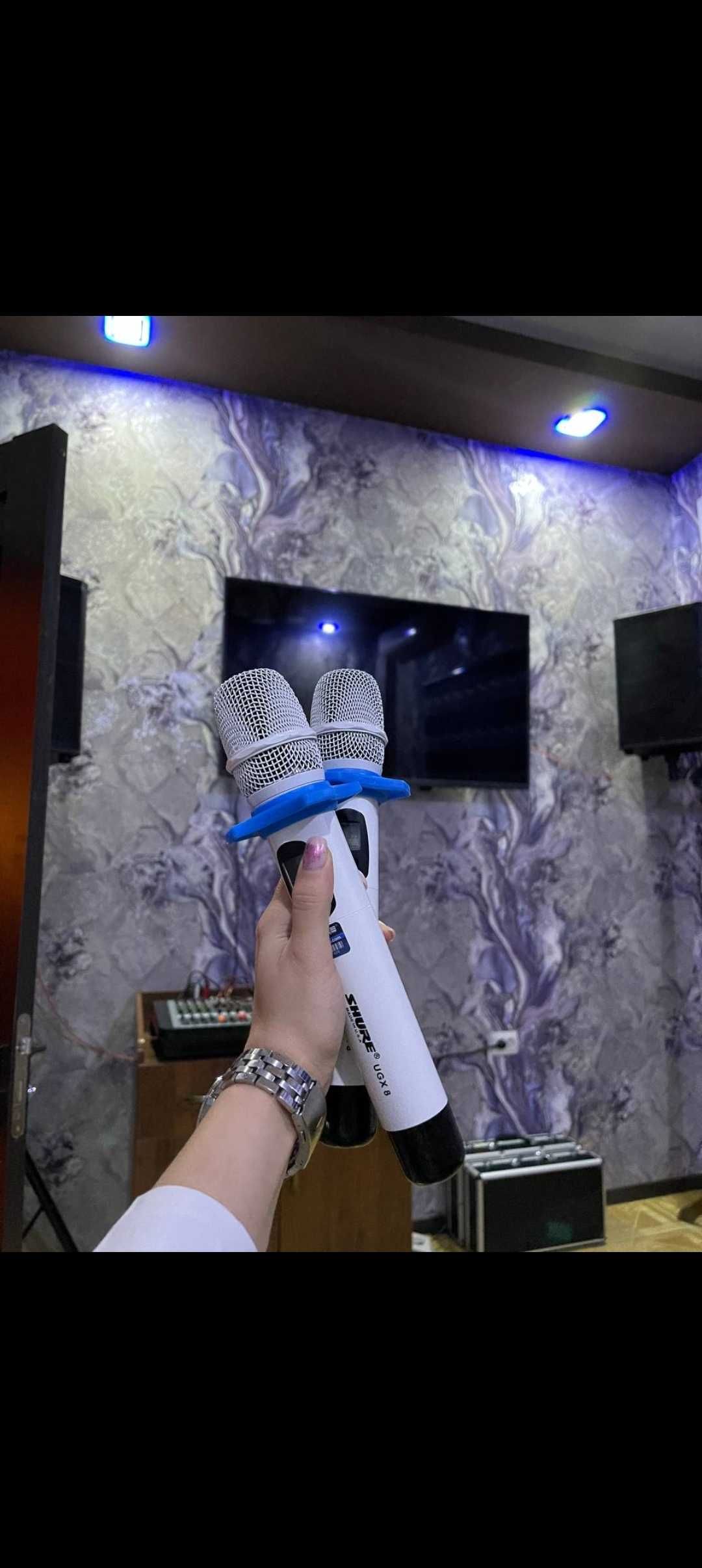 Готовый karaoke & lounge bar срочно