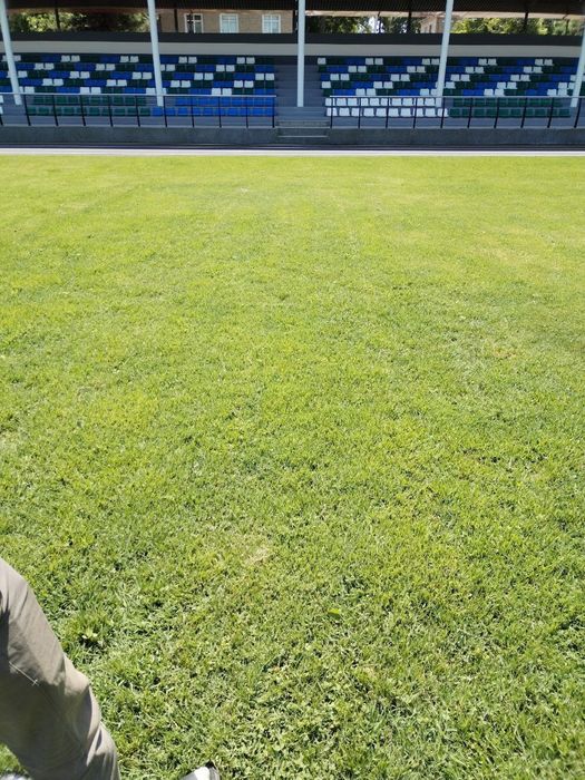 Tabiiy chim va ajriq