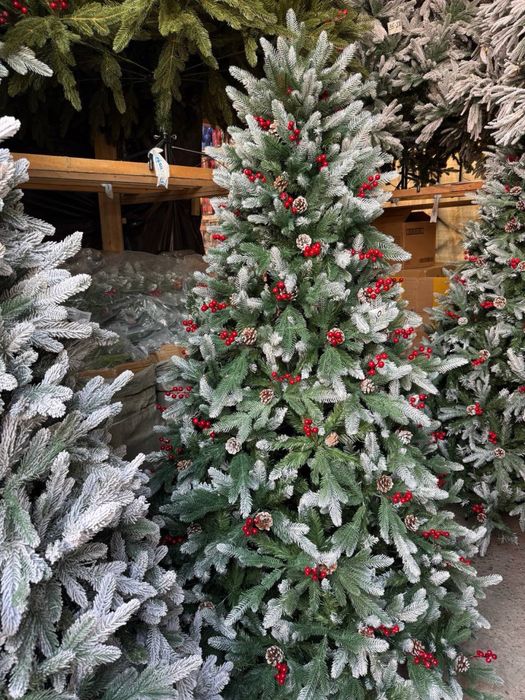 Archa - Ёлка Новогодные елки прямо со склада