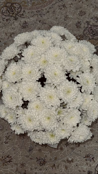 Продам свежий букет хризантемы