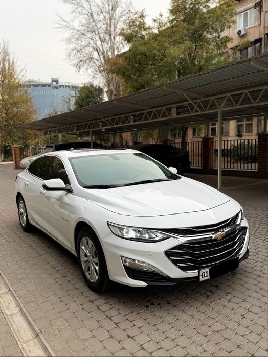 Malibu 2 preimer 2020