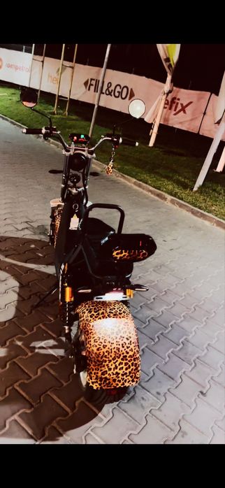 scuter reb cc 15