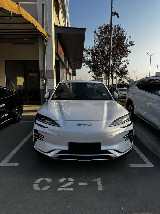 Byd chempion smart oq va nardo grey rangi