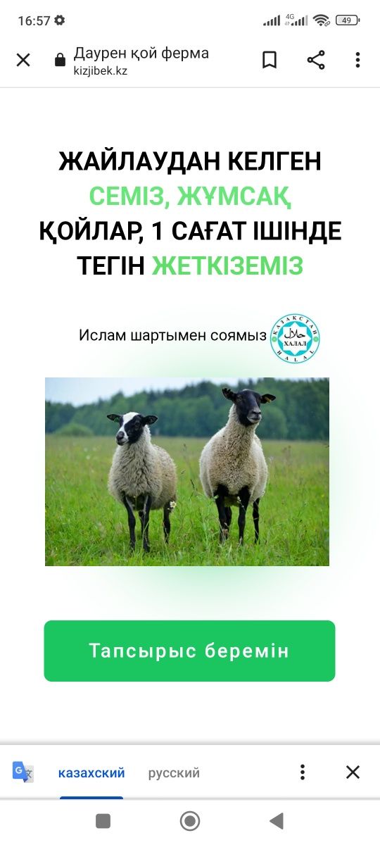 Бараны Кой токты баран сатылады. ДОСТАВКА Быстрая бесплатно г Алматы