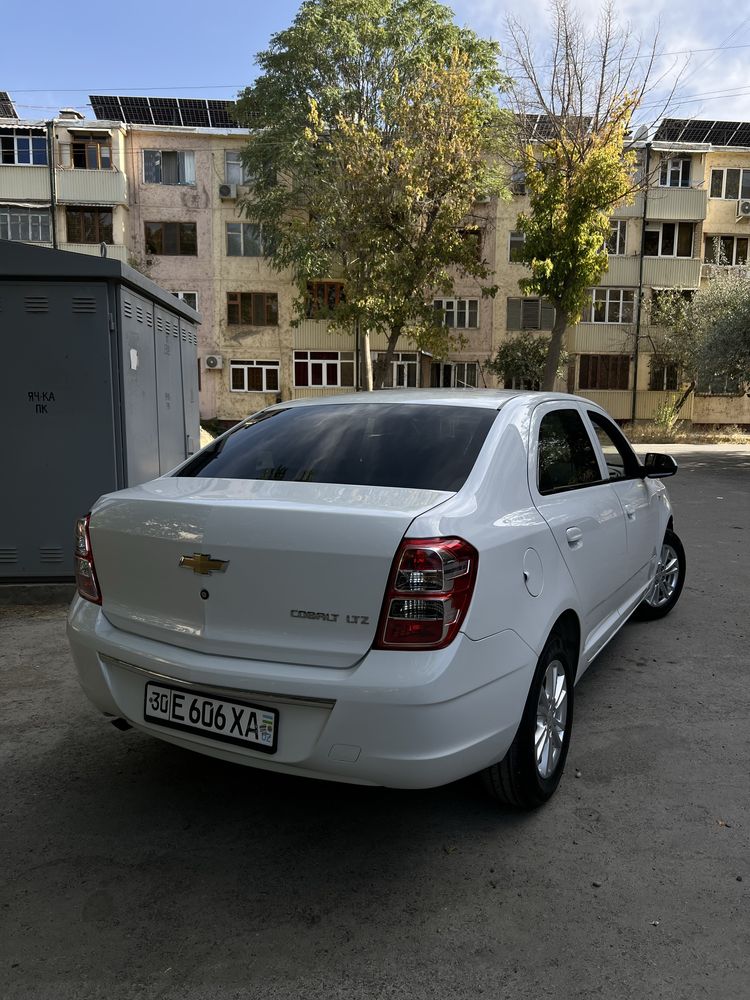 Kobalt 2024 tozza tayyor ideal