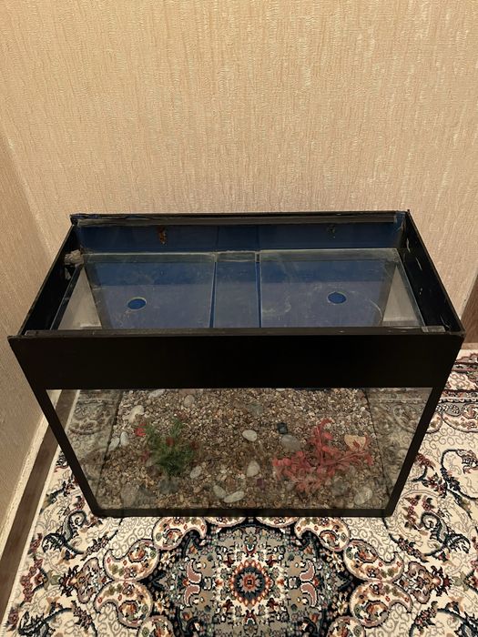 Baliqlar uchun Akvarium 50 L | Аквариум для рыб (Рыбный Аквариум)