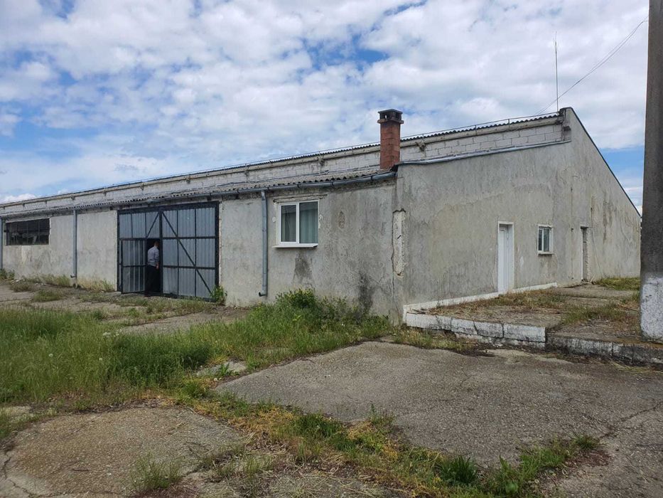 Ferma de vanzare,parc logistic 55000 mp FILIPESTI E85 ,15 KM DE BACAU