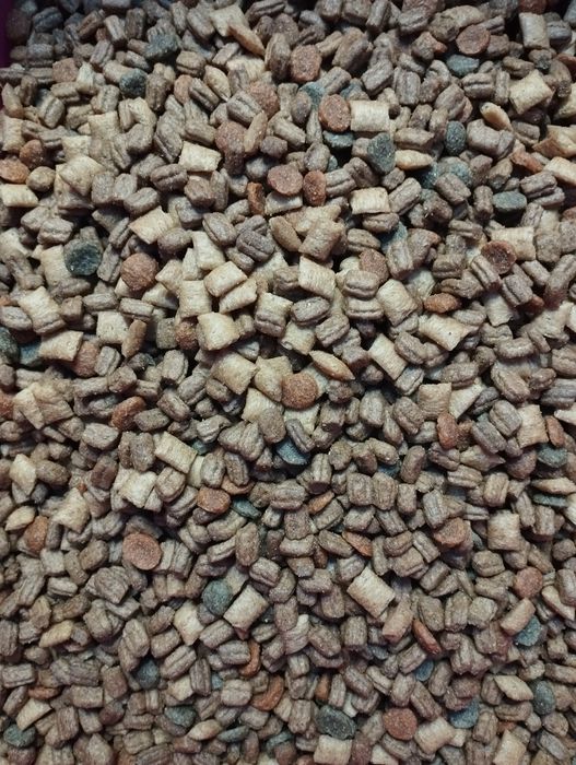 Bobite whiskas pisici adult.