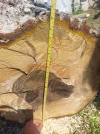 Дървен материал орех около 0,65 куб. м., дънер, ствол