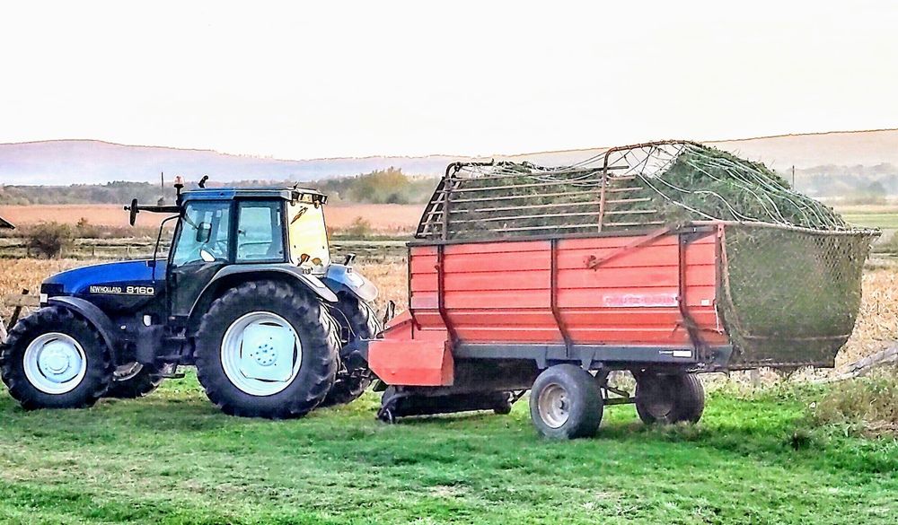 Deutz Fahr ptr masă verde/lucernă/fân