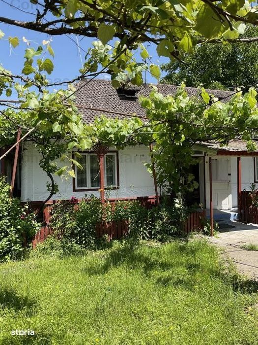 Casa la tara, cu dependinte si gradina
