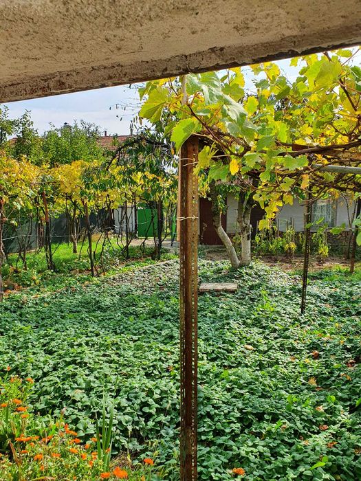 Продава се Къща в с. Алино, Област София-област - 60 кв.м за 750 €/кв.м - Снимка #7