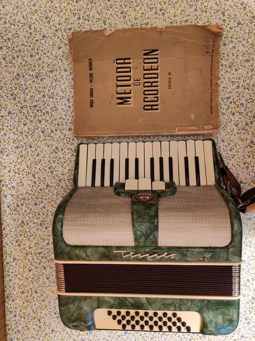 Acordeon Timis (copii)