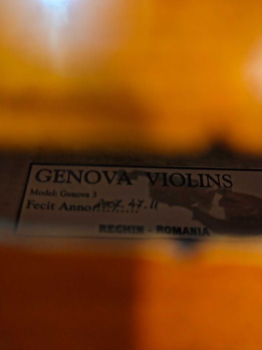 Vand vioara Reghin 2007